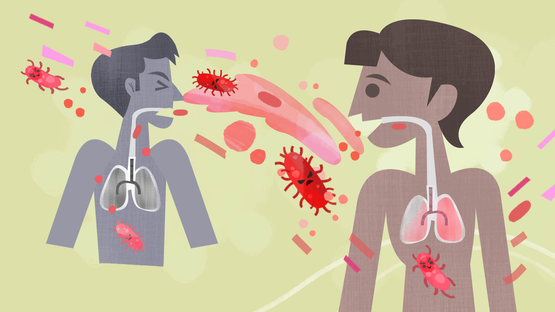 How is tuberculosis transmitted?