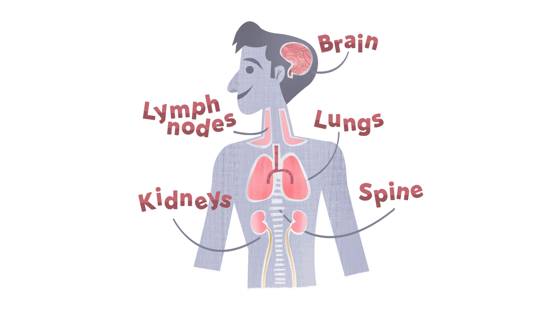 WHAT ELSE SHOULD YOU KNOW TB