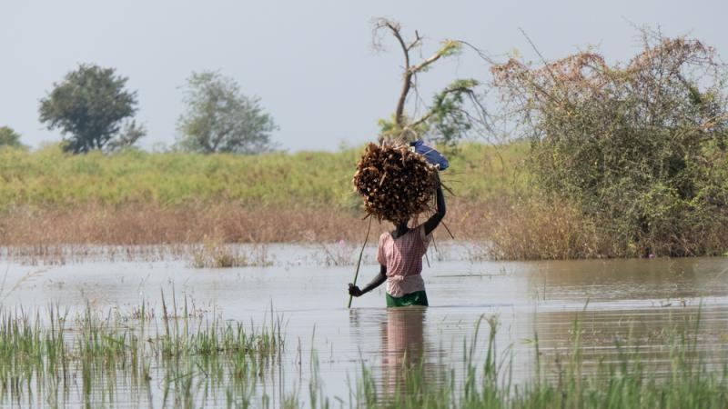 Climate Emergency: What can you do to help? 