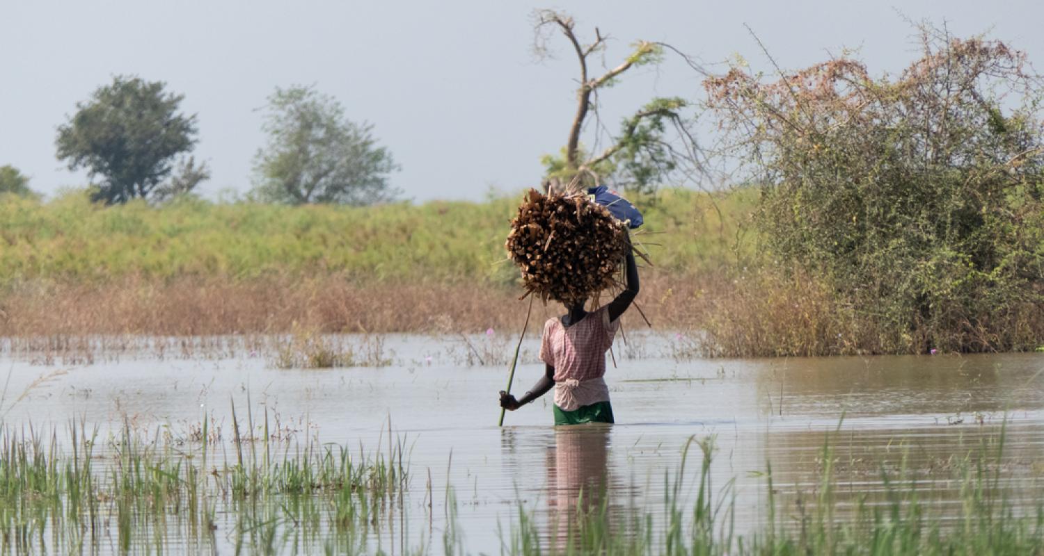 A woman wades through floodwaters in Rubkona country in Bentiu to collect firewood. South Sudan, November 2021 © Njiiri Karago/MSF