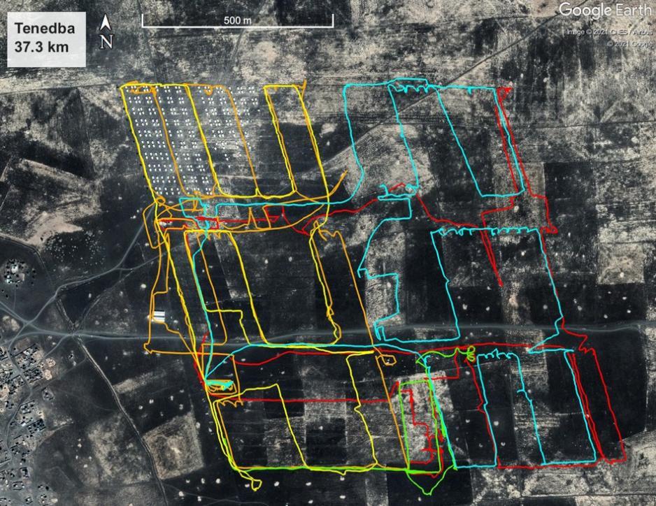 This map shows my tracks in Tenedba camp