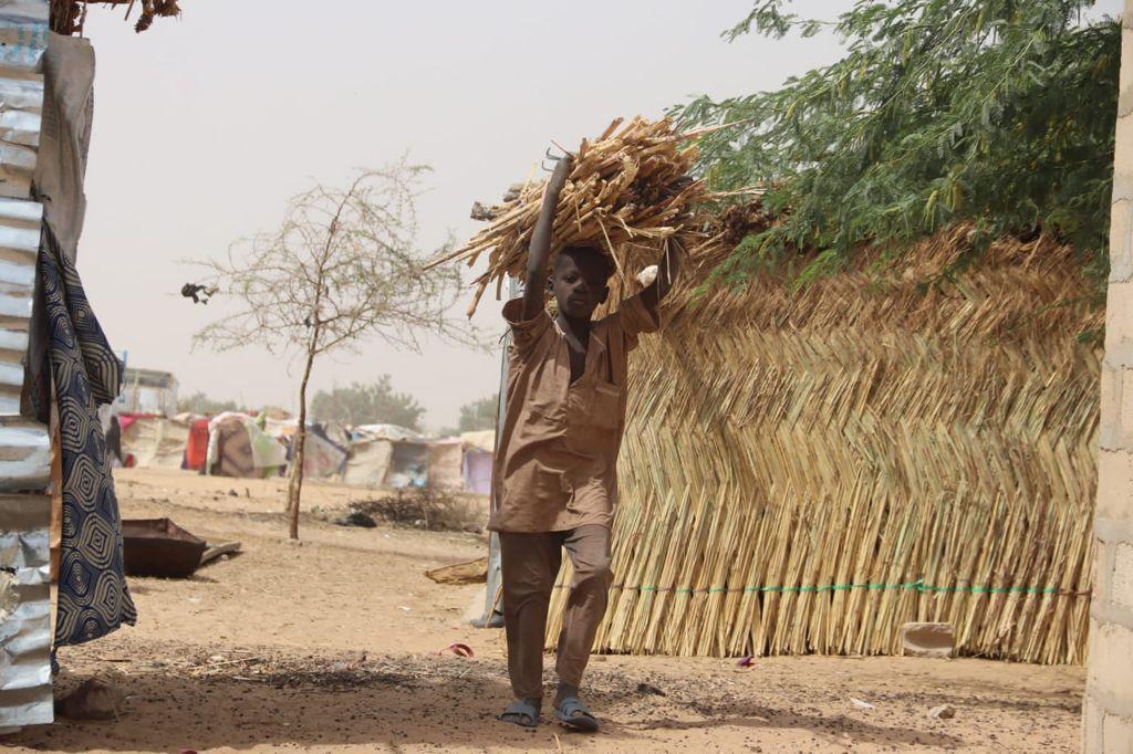 Nigeria © Miroslav Pavicevic