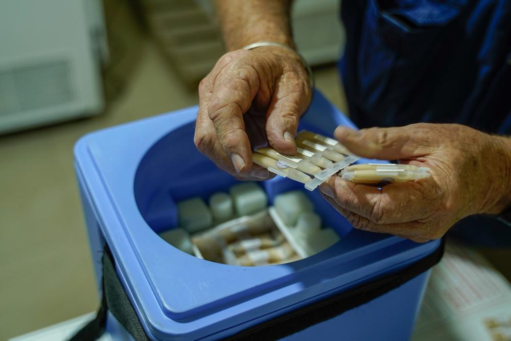 MSF teams preparing the vaccines for the vaccination campaign against cholera in Lebanon. Lebanon, November 2022. © MSF/Mohamad Cheblak