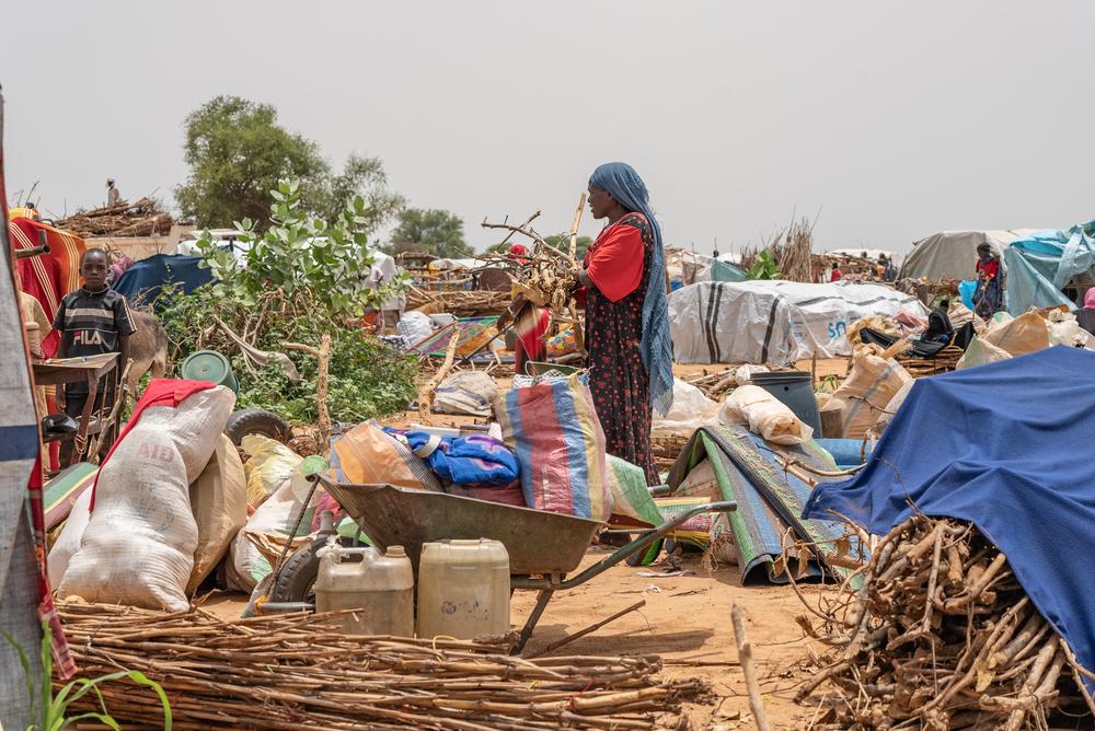General views in Camp Ecole hosting Sudanese refugees in Adré. Chad, August 2023. © MSF
