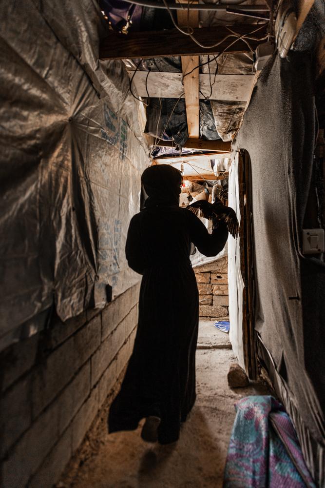 Maya [name changed to preserve anonymity], a Syrian refugee in northeast Lebanon, holds a dove she tends to in her family's tent in Arsal.