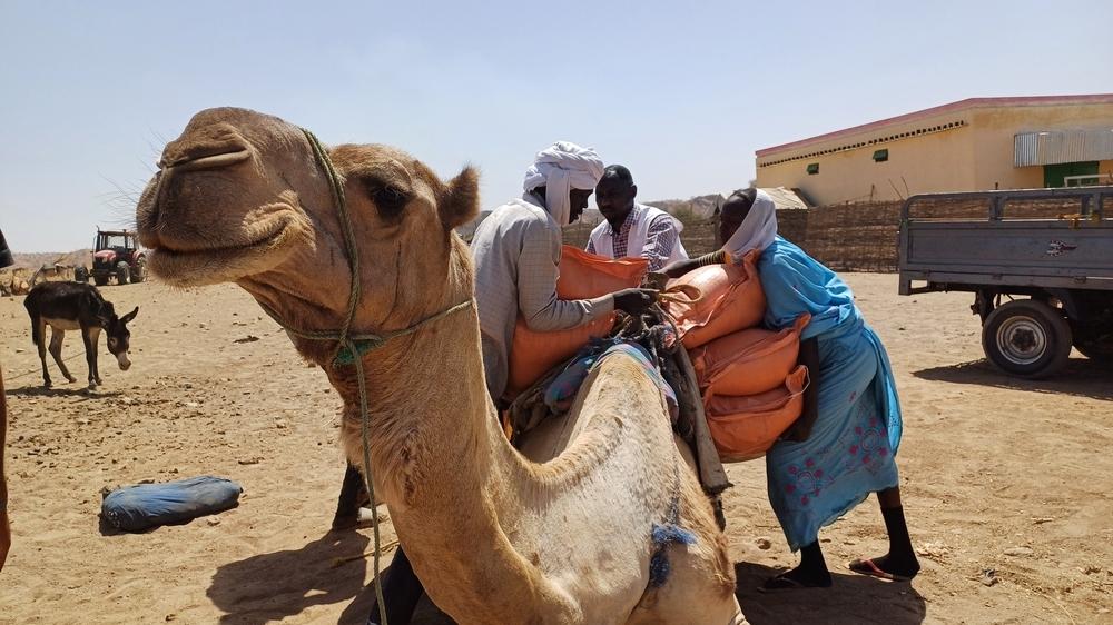 People load parcels of food onto a camel in Kaloketting, South Darfur.