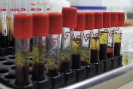 Public health partnership to tackle the silent epidemic of hepatitis C in low- and middle-income countries